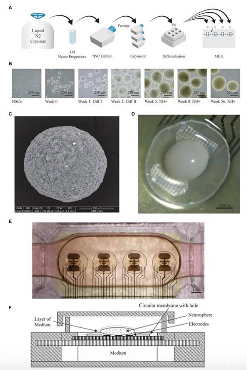 2 - Copy.jpg 2 - Copy.jpg