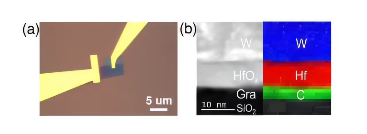 format,f_avif.avif (1).jpg